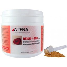 Reishi-Ganoderma-Mrl en Polvo 250g