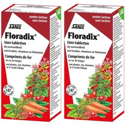 Floradix® Comprimés de fer