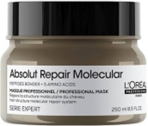 Absolut Repair Molecular L'Oréal Masque Réparateur Absolut Repair Molecular L'Oréal Pro 250ml