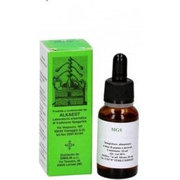 Quintessenza Q24 Huile Essentielle Basilique 10ml