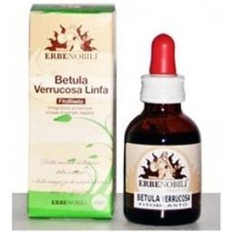 Herbes Phytoblast Bouleau Verrucosa Lymph 50Ml