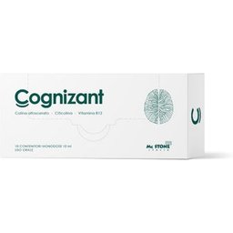 Mc Stone Italia Cognizant 10uds