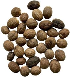 Tisane Noix de Muscade ENTIERE 100 GRS Nux moschata