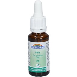 24 - Pine - Pin sylvestre - 20 ml