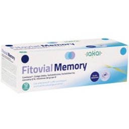 Mémoire Fitovial