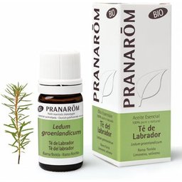 Pranarôm Bio Huile Essentielle Lédon du Groenland 5 ml