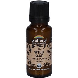 Wild Oat - Avoine Sauvage - Bio