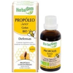 Propoleo Junior Gotas 15 ml