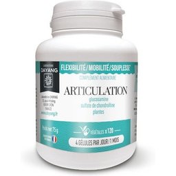 Articulation 120 Gélules