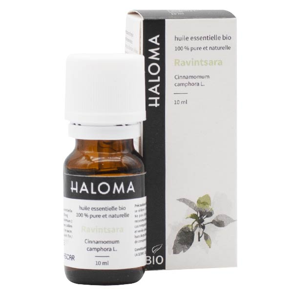 Huile Essentielle Ravintsara Bio 10ml