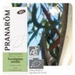 Eucalyptus Smithii Bio 10ml Huile Essentielle