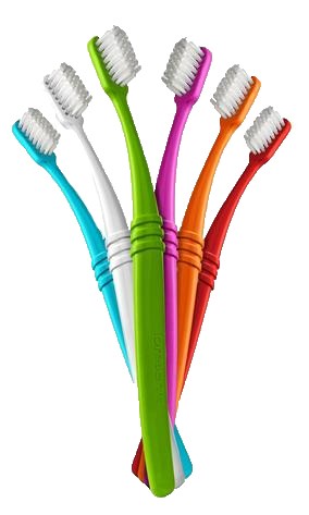 BROSSE A DENTS Médium