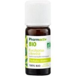 Huile Essentielle Eucalyptus Citronné Bio 10ml