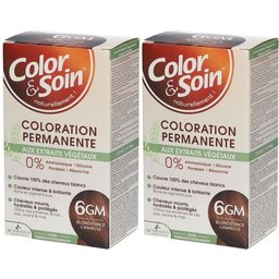 Color & Soin Coloration 6GM Blond Foncé Cannelle
