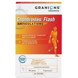 Chondrostéo Flash 40 gélules