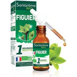 Bourg Unit Figuier U52