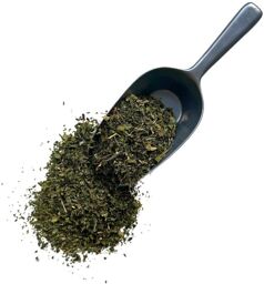 Tisane Ortie piquante feuille