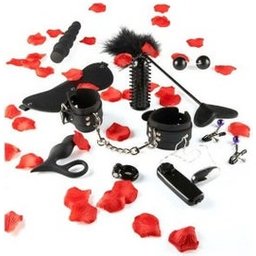 Kit de démarrage du jouet d'amour Just For You