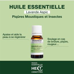 Pranarôm - Lavande Aspic - Huile Essentielle Chémotypée - Apaise Les Piqûres, Les Brûlures Superficielles De La Peau Et Les Coups De Soleil Légers - 100 % Pure Et Naturelle - Hect - 10 ml