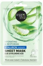 Masque Tissu Hydratant & Réparateur - Aloé & Acid Hyaluronique - Sachet 1 masque papier