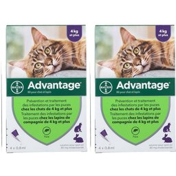 80 pour chat et lapin