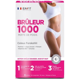 Brûleur 1000