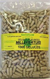 GELULES MILLEPERTUIS plante 250 mg 1000 GELULES