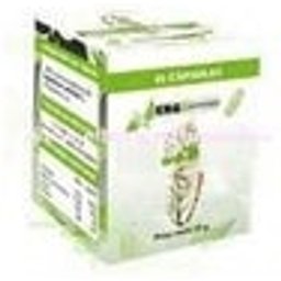 Ergonat Melisasomne Phytogranulos 45caps