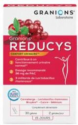 Réducys Confort Urinaire 30 Gélules - Boîte 30 gélules