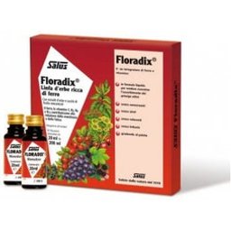 Floradix-Fer 10 Bouteille 20 ml