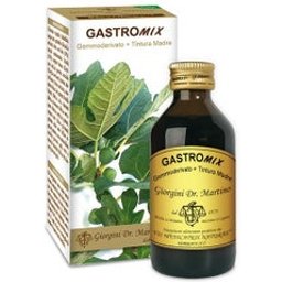 GASTROMIX LIQUIDE ANALC 100ML