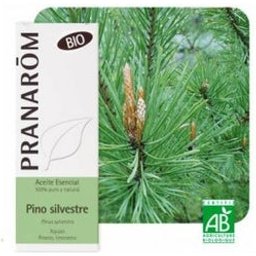 Scots Pine Bio 10ml Huile Essentielle