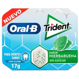 Oral B Peppermint Chewing Gum 10 pièces