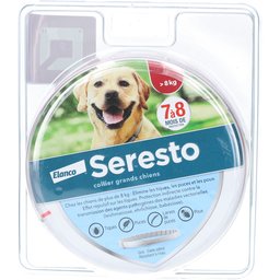 collier grands chiens