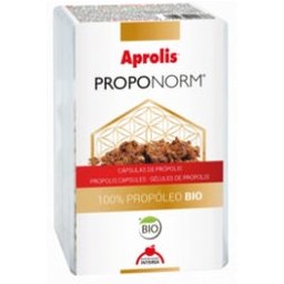 Proponorm 60 Cap.intersa