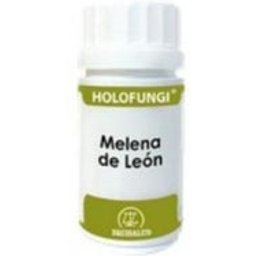 Crinière de Lion Holofungi 50caps