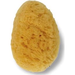 - Éponge naturelle petite taille 1pc