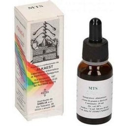 Mts16 Poria Cocos Gouttes 20ml