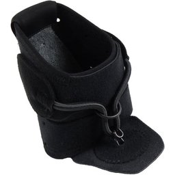 ANTIEQUINO BOXIA AB01/1 17-21 CM