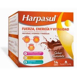 Energy Shake Chocolat 14 Sachets