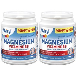 Magnésium Vitamine B6 Libération Prolongée
