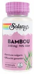 Bambou 60 Unités Végétales - Pot 60 capsules