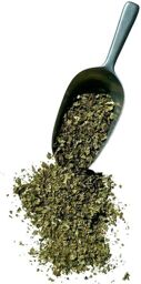 Tisane Chardon Marie plante 1 KILO Silybum marianum
