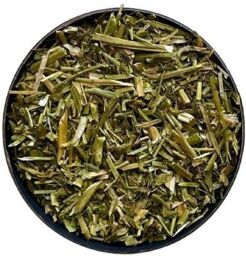 Tisane Bourse à pasteur plante 1 KILO Capsella bursa pastoris