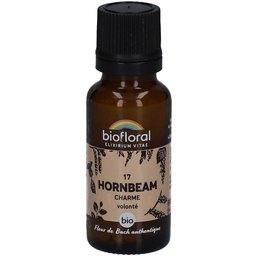 Hornbeam - Charme - Bio