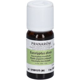 huile essentielle eucalyptus mentholé