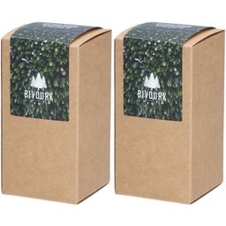 Kit Huile et Brosse à Barbe