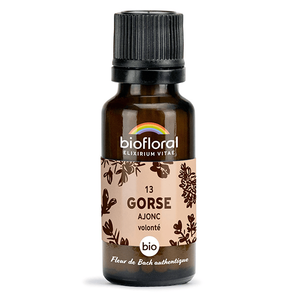 13 Gorse Ajonc Granules Bio Fleur De Bach Granules 19,5 Gr