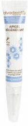 Apigel Régénérant 10 ml - Tube-pinceau 10 ml