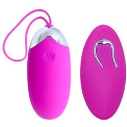 Egg Berger Remote Control 12v 1pc